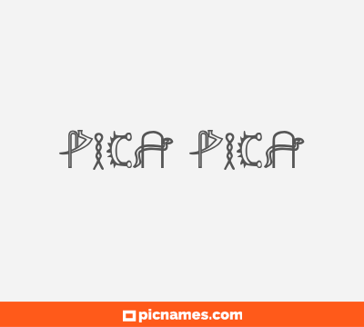 Pica Pica